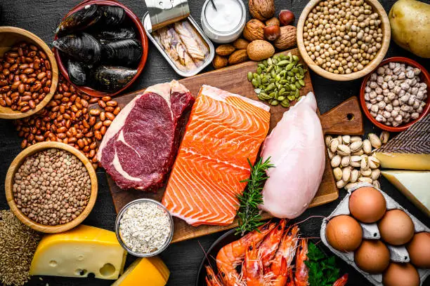 Protein Explained — Who Needs It, How Much, and Where to Get It